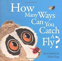 How Many Ways Can You Catch a Fly? How Many Ways Can You Catch a Fly?