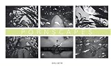 Pornscapes - Pierre Radisic