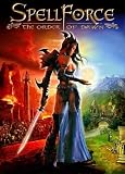 SpellForce: the Order of Dawn (PC)
