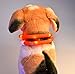 LED Pet Dog Collar,Pashion USB Rechargeable LED Light-Up Safety Neck Loop One Size Fits All Waterproof Night Safety Pet Dog Collar