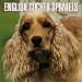 English Cocker Spaniels 2004 Calendar