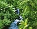 Tropical Rain Forest (River & Waterfall) Art Poster Print - 16