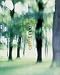 book cover unavailable