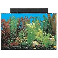 SeaClear Rectangular Aquarium Combo