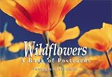 Wildflowers: A book of postcards (Firefly Postcard Book)