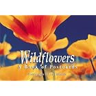 Wildflowers: A book of postcards (Firefly Postcard Book) by  Tim Fitzharris