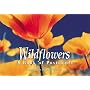 Wildflowers: A book of postcards (Firefly Postcard Book)