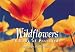 Wildflowers: A book of postcards (Firefly Postcard Book)