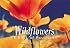 Wildflowers: A book of postcards (Firefly Postcard Book)