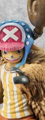 Portrait.Of.Pirates ワンピース