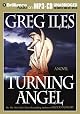 Turning Angel: A Novel