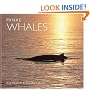 Minke Whales (WorldLife Library Series)
