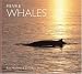 Minke Whales (WorldLife Library Series)