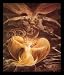 William Blake (The great red dragon and the woman clothed with the sun) Framed Art Po...