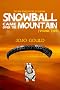 The New Bears for the 21st Century: Vol 4: Snowball Came Over the Mountain