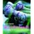Wonderfoods: Amazing Ingredients and Recipes for Optimum Health