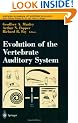 Evolution of the Vertebrate Auditory System: v. 22 (Springer Handbook of Auditory Research)
