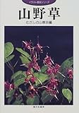 山野草 (イラスト園芸シリーズ)