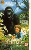 Gorillas In The Mist [1988] VHS