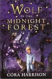 Wolf in the midnight forest