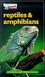 Discovery Channel: Reptiles & Amphibians: An Explore Your World Handbook