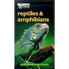 Discovery Channel: Reptiles & Amphibians: An Explore Your World Handbook