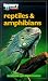 Book Discovery Channel: Reptiles & Amphibians: An Explore Your World Handbook