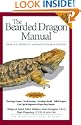Bearded Dragon