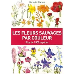 Les fleurs sauvages par couleur