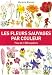 Les fleurs sauvages par couleur