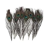 10 X 30cm Natural Peacock Feather House Decoration
