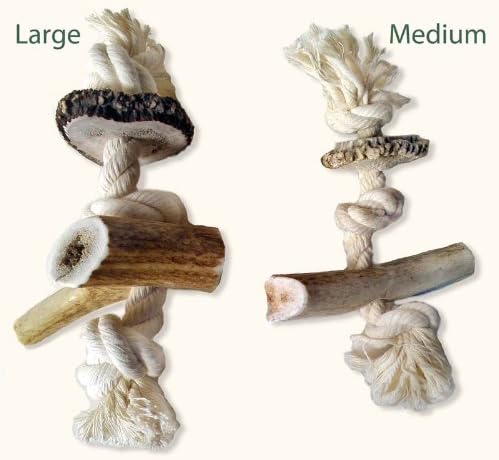 Bent & Freck Antler Rope Dog Chew Toy - Tough, Safe, and Healthy Toy for Dogs & Puppies - Fresh and Ethically Sourced Chews