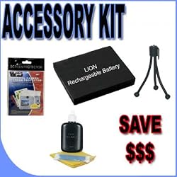 BigVALUEInc Accessory Saver CGA007 Lithium Ion Battery Bundle for Panasonic Lumix Digital Cameras + More
