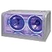 PYLE PLBWS 210 Blue Label Dual Bandpass System with Neon Silhouette