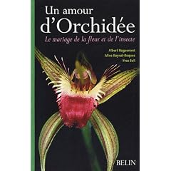 Un amour d'Orchid�e : Le mariage de la fleur et de l'insecte
