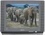 Samsung TXM2796HF 27" DynaFlat HDTV