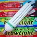 Compact Fluorescent - Daylight - 150W