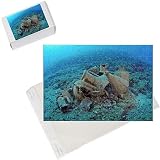 Photo Jigsaw Puzzle of Etruscan Amphora in a protected archaeological area on the sea bed in Antalya from Ardea Wildlife Pets
