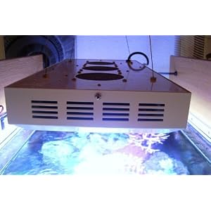 High Power WHITE + BLUE LED Aquarium Reef corals grow light. 2512W+B