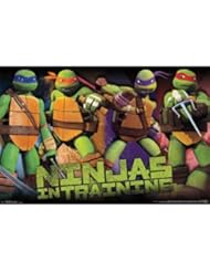 Home: (22x34) Teenage Mutant Ninja Turtles - Profile Cartoon Poster - Poster Revolution