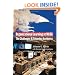 Organizational Learning at NASA: The Challenger and Columbia Accidents (Public Management and Change series)