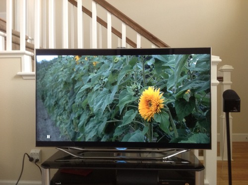 Samsung UN55ES8000 55-Inch 1080p 240 Hz 3D Slim LED HDTV (Silver)