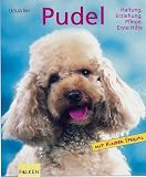 Pudel