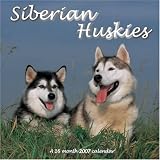 Siberian Huskies 2007 Wall Calendar