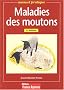 Maladies des moutons