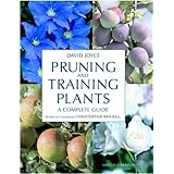 Pruning and Training Plants