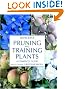 Pruning and Training...