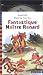Book Fantastique Maître Renard (1 livre + 1 CD audio)