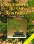 Successful Bonsai Growing