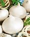 Utah White Sweet Spanish Onion Seeds - Allium Cepa - 1 Grams - Approx 285 Gardening Seeds - Vegetable Garden Seed